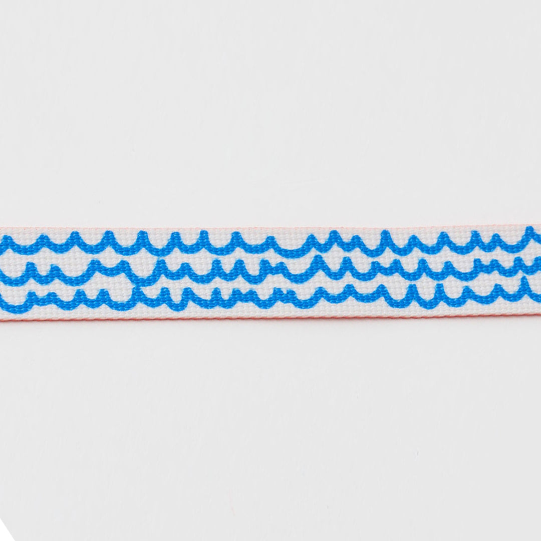 No-Pull Harness_Surfrider