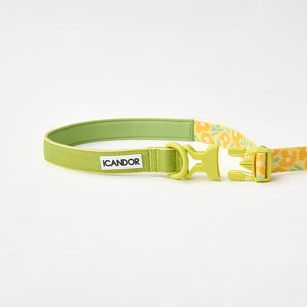 Gentle Leash Bolt_Big Fish Yellow