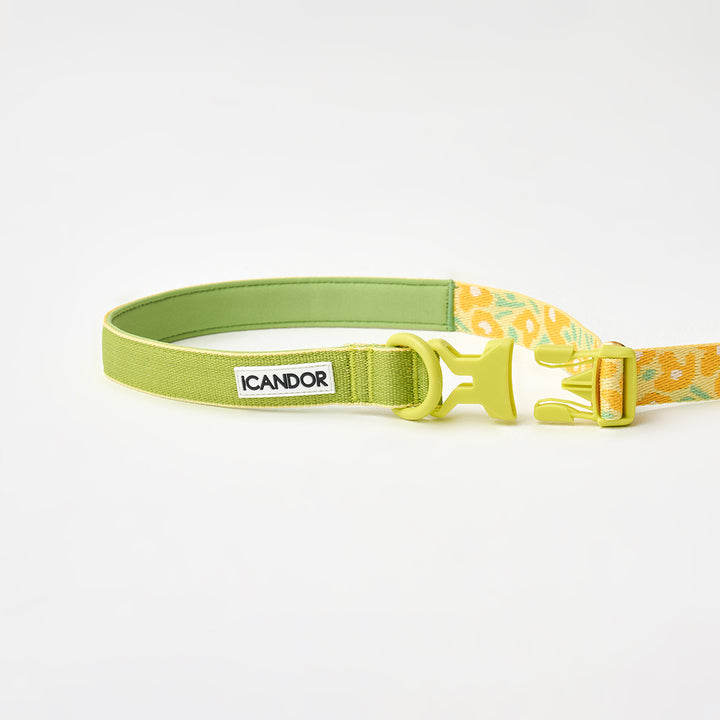 Gentle Leash Bolt_Big Fish Yellow