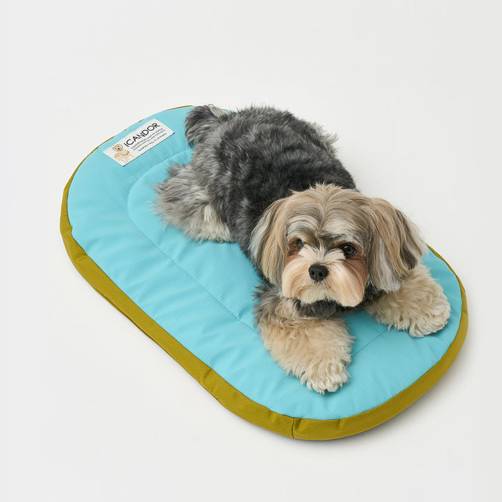 Urban Nest Cushion_Mint
