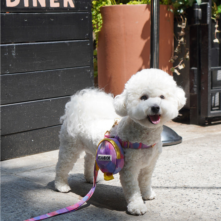 No-Pull Harness_Milky Way