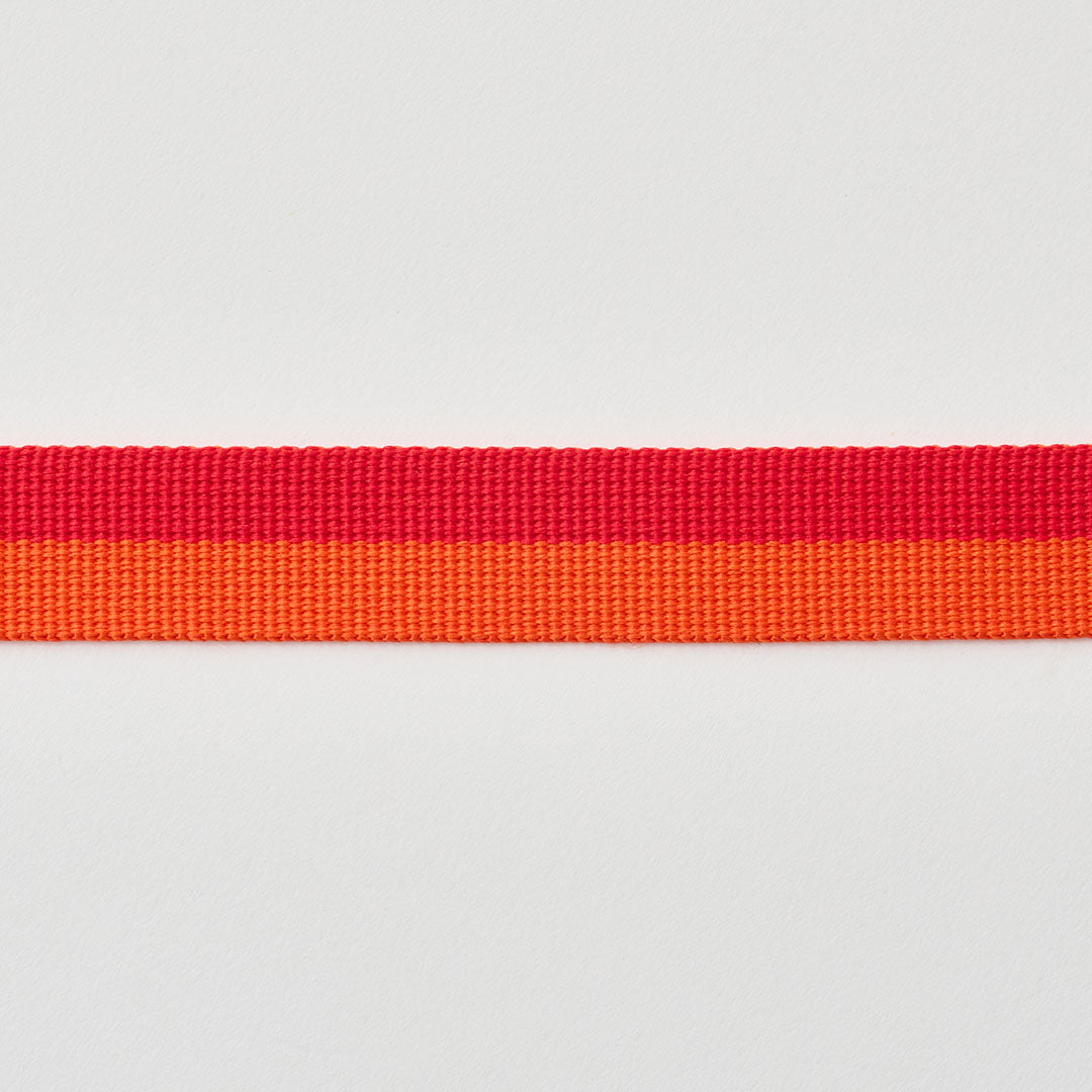 No-Pull Harness_Sunset