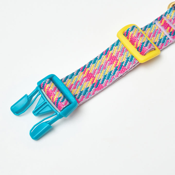 Martingale Collar, Buckle_Edinburgh Check