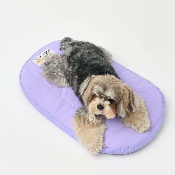 Urban Nest Cushion_Lavender