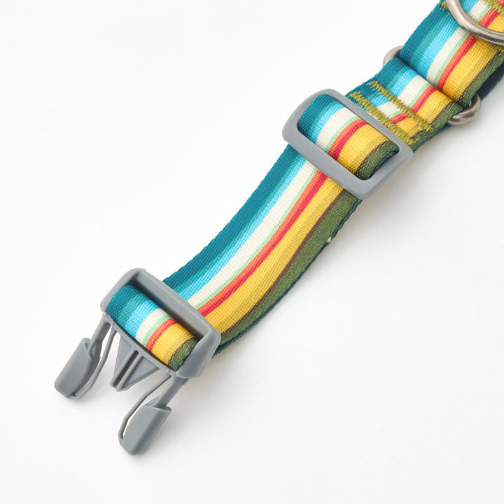 Martingale Collar, Buckle_Ripple