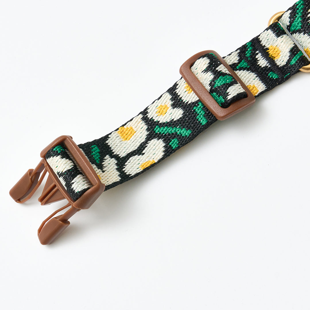 Martingale Collar, Buckle_Big Fish