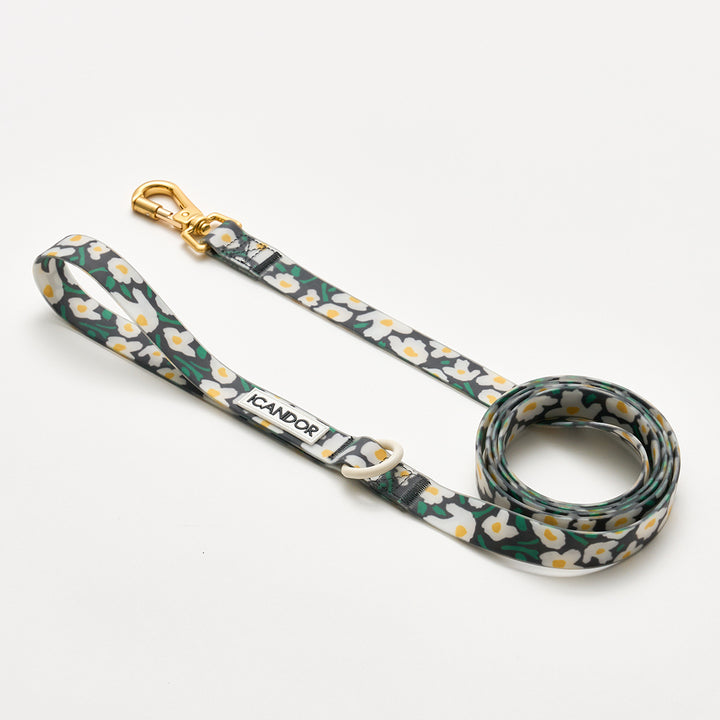 Capri Waterproof Leash_Big Fish