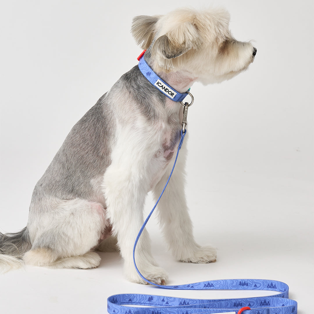 Capri Waterproof Collar_Outback