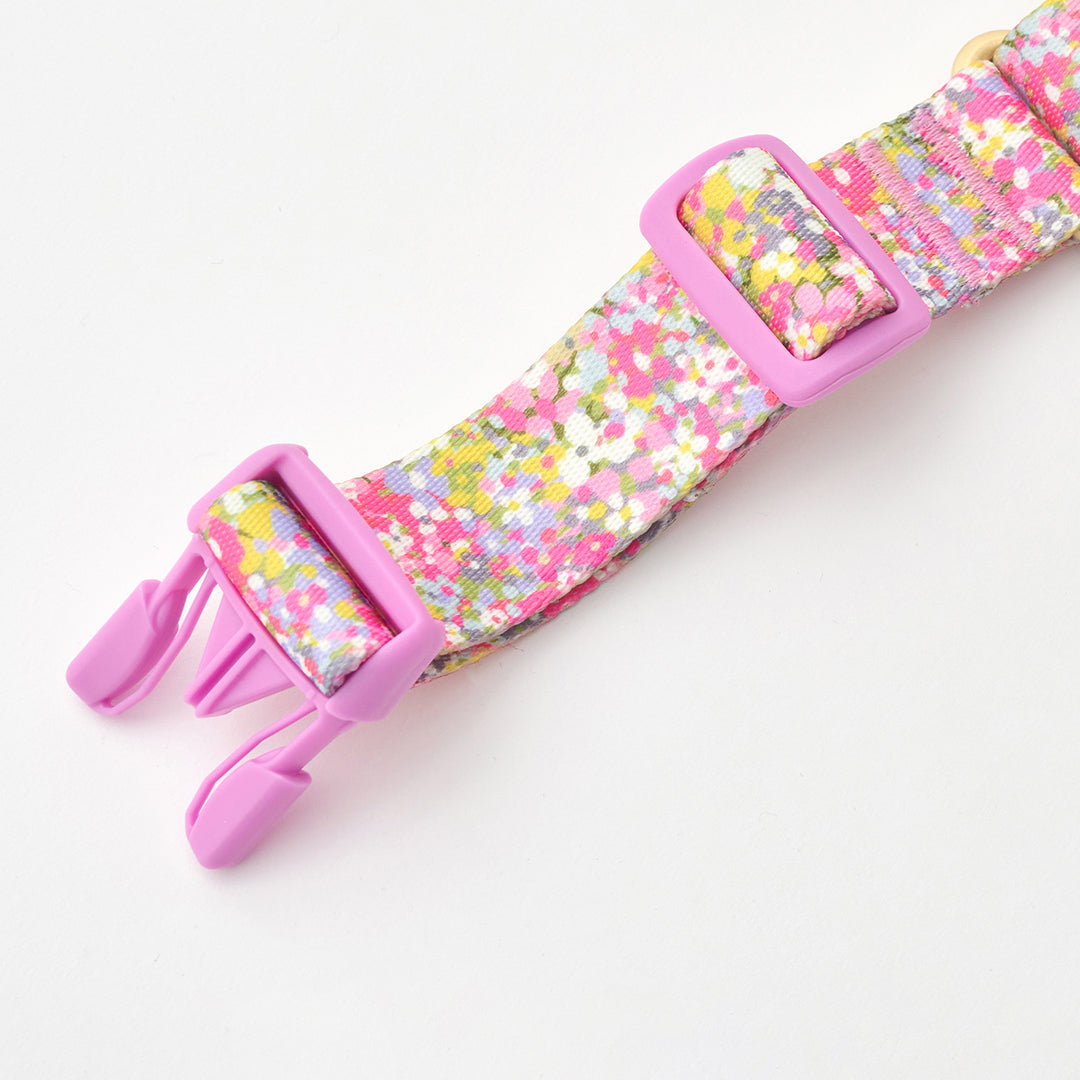Martingale Collar, Buckle_Flora