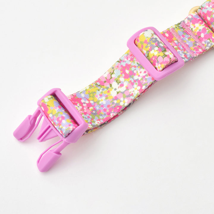 Martingale Collar, Buckle_Flora