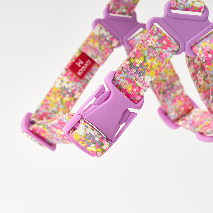 No-Pull Harness_Flora