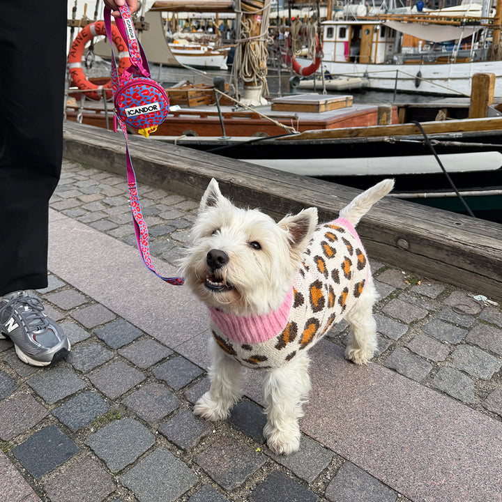 White dog wearing the Aspen Woolies Leopard sweater by the harbor