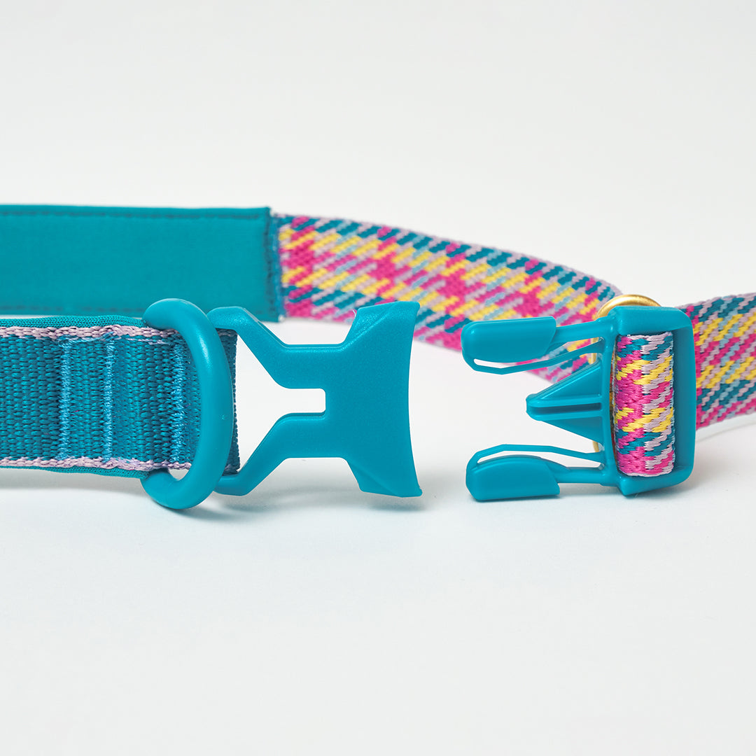 Gentle Leash Bolt_Edinburgh Check