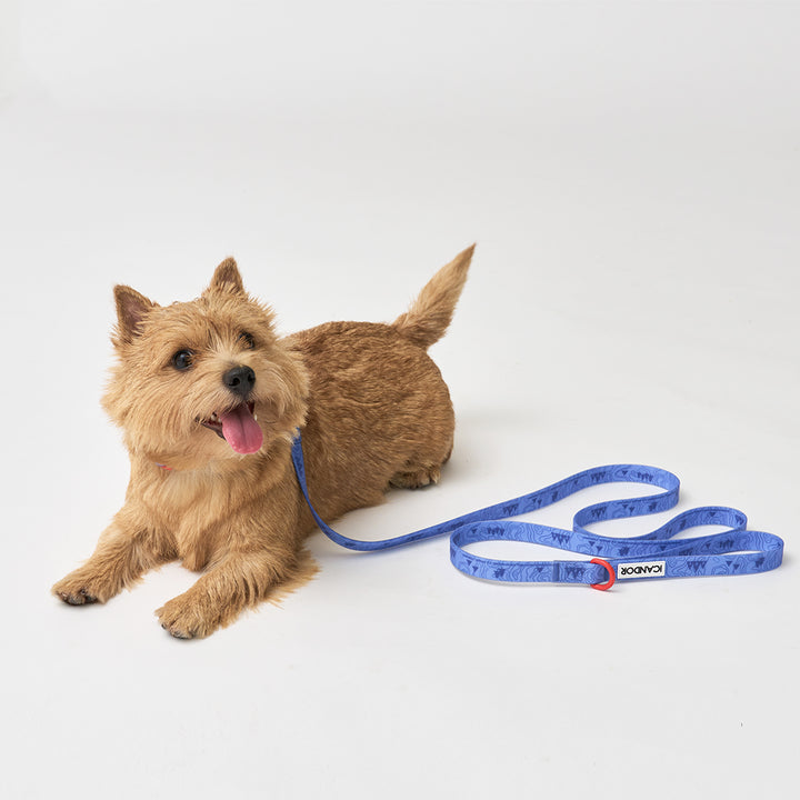 Capri Waterproof Collar_Outback
