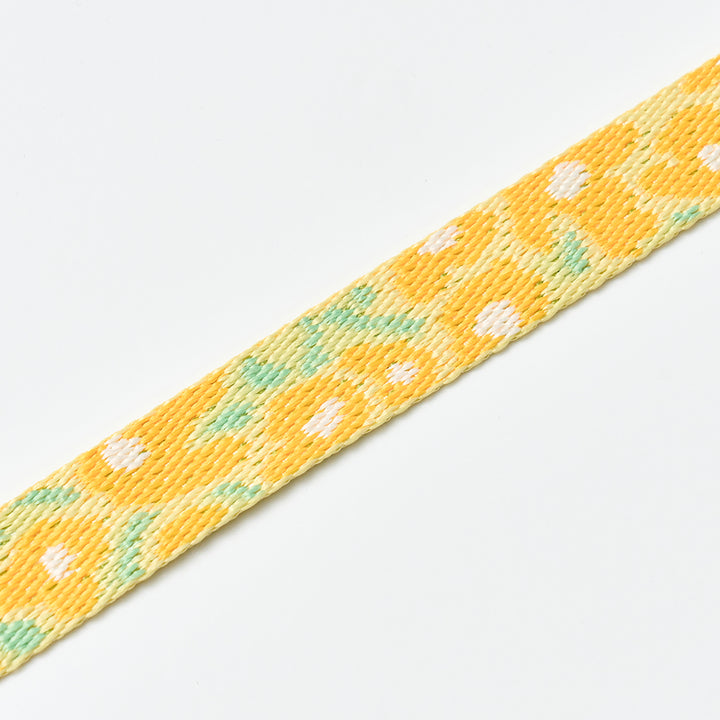 Martingale Collar, Buckle_Big Fish Yellow