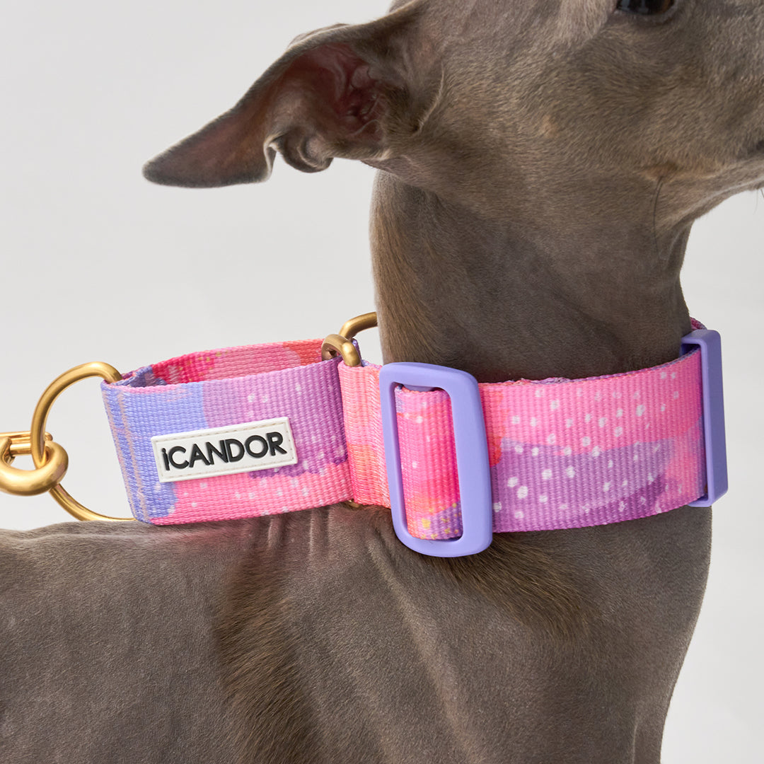 Smooth Martingale Collar 38mm_Milky Way