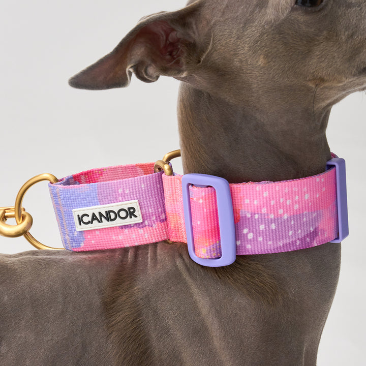 Smooth Martingale Collar 38mm_Milky Way