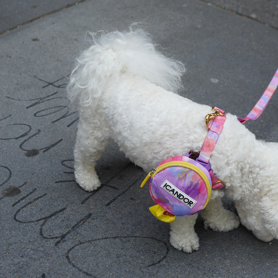 No-Pull Harness_Milky Way