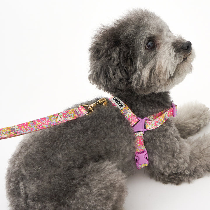 Gentle Leash Bolt, 1.6m(15mm)_Flora