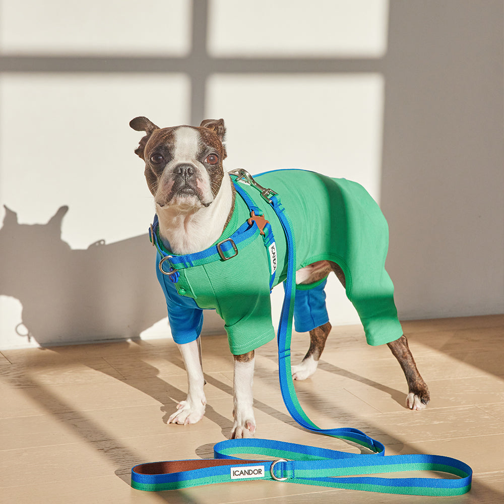 No-Pull Harness_Forest