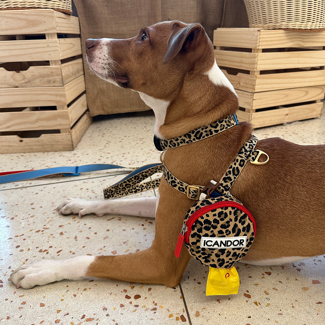 No-Pull Harness_Leopard