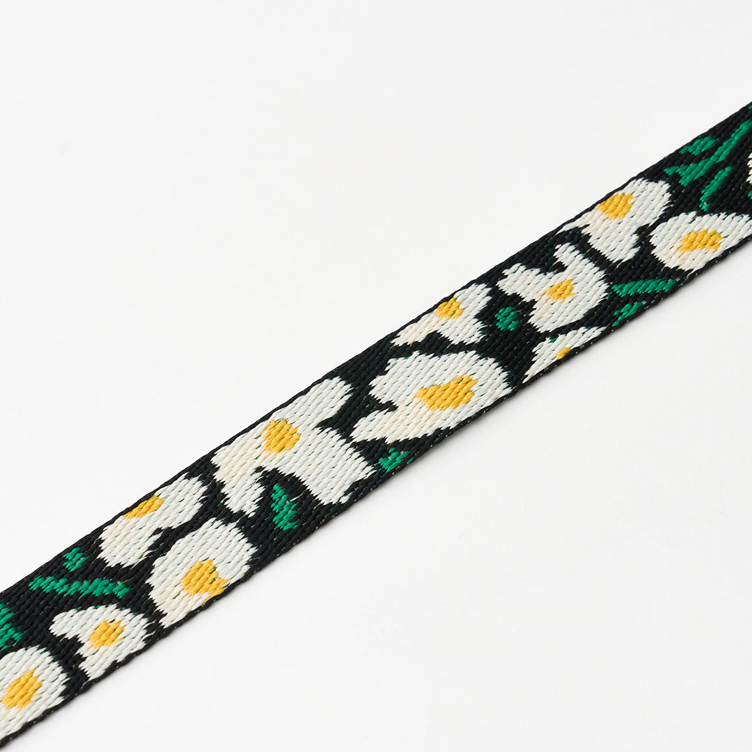 Martingale Collar, Buckle_Big Fish