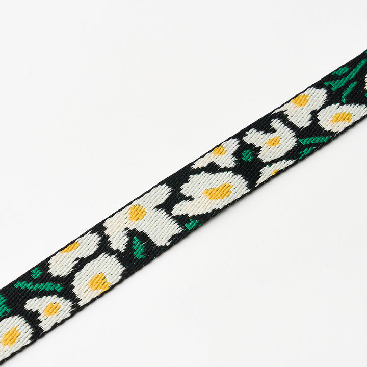 Martingale Collar, Buckle_Big Fish