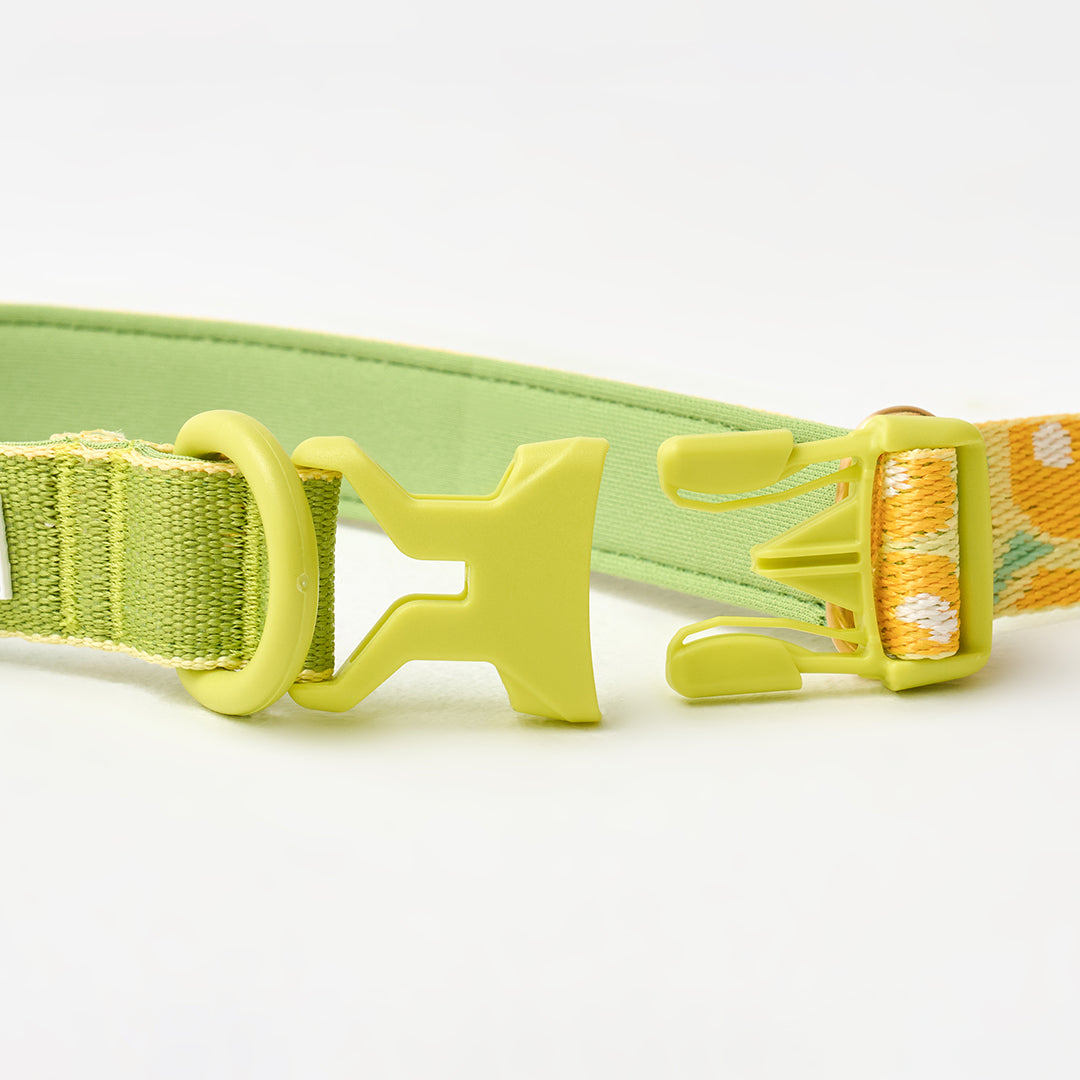Gentle Leash Bolt_Big Fish Yellow