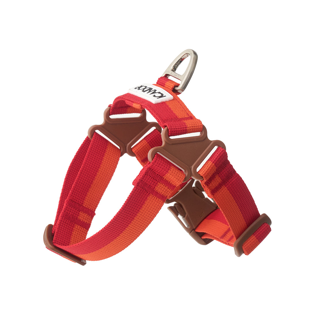 No-Pull Harness_Sunset