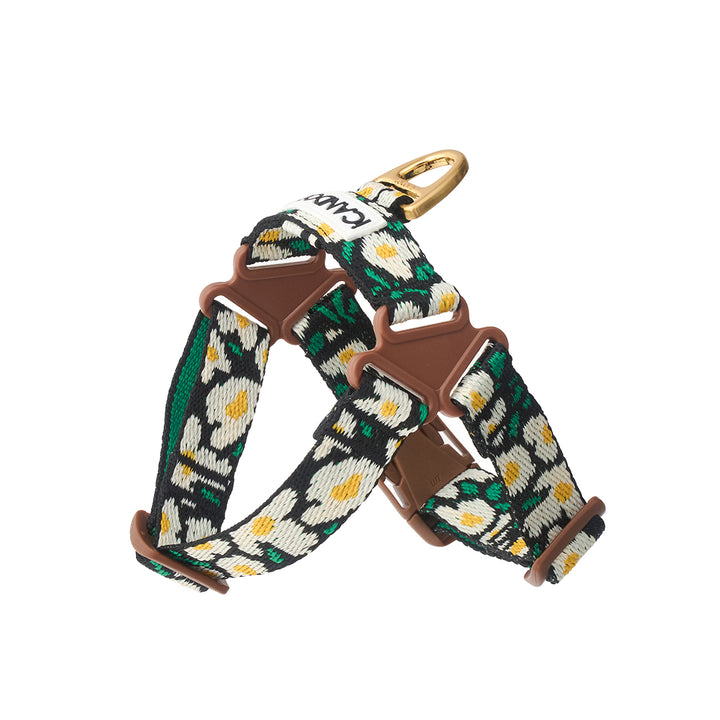 No-Pull Harness_Big Fish