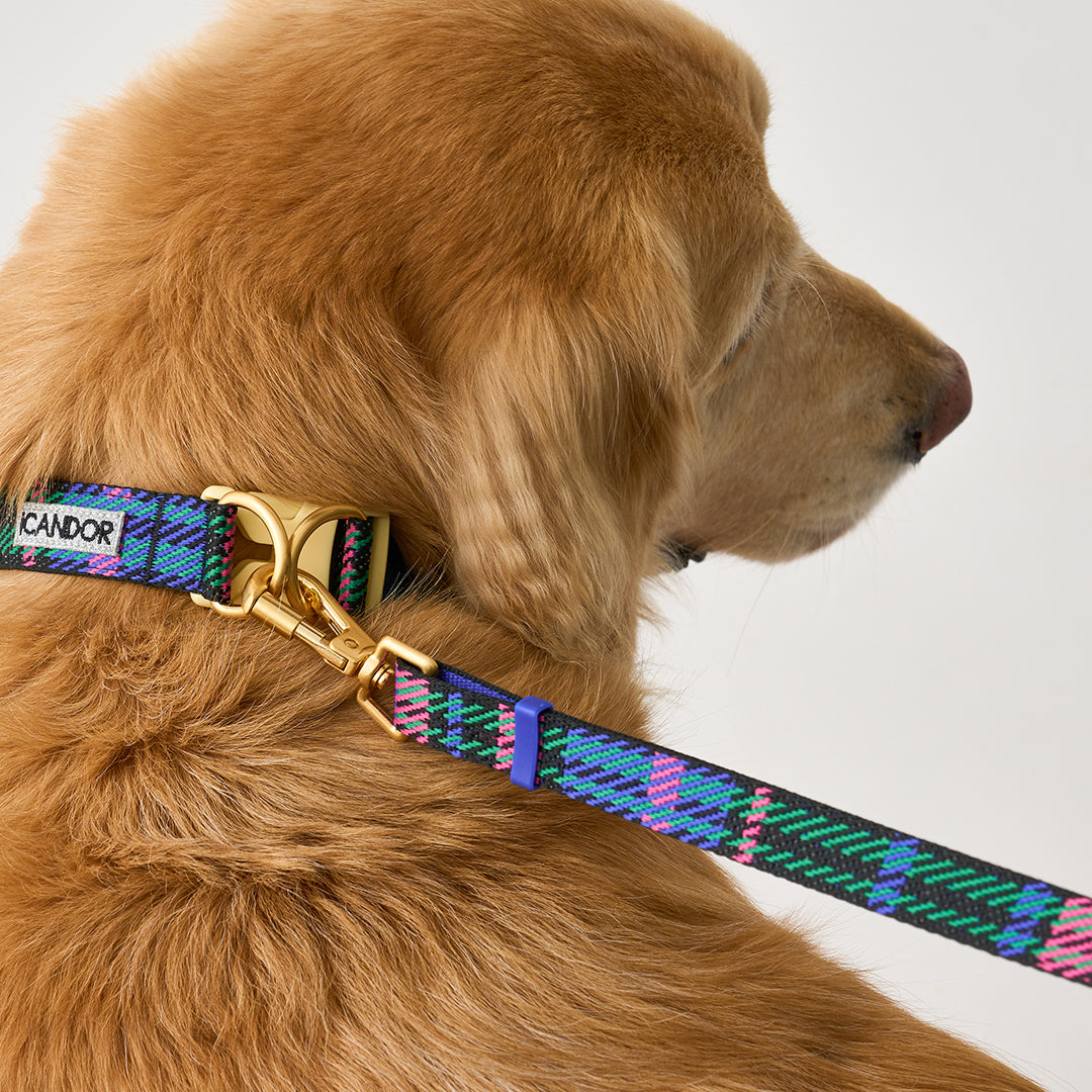 Gentle Leash Bolt, Long_Urban Checks