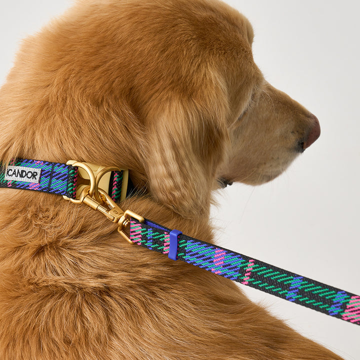Gentle Leash Bolt, Long_Urban Checks