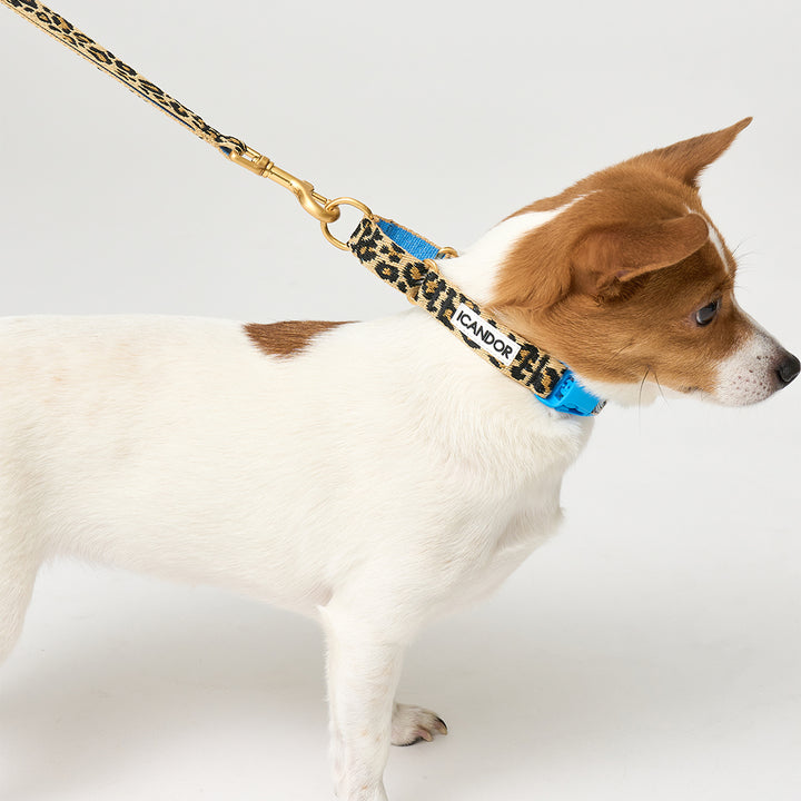 Martingale Collar, Buckle_Leopard