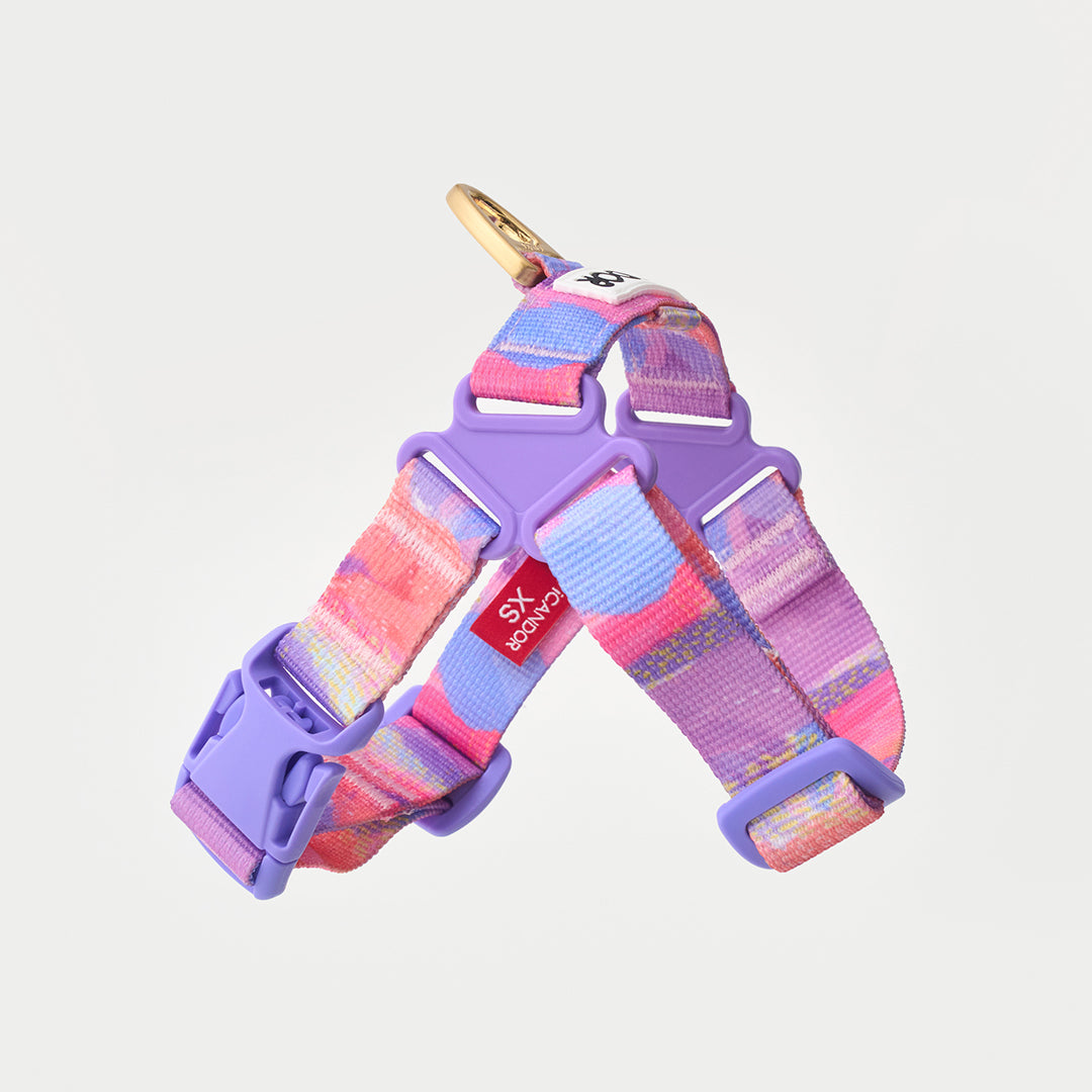 No-Pull Harness_Milky Way