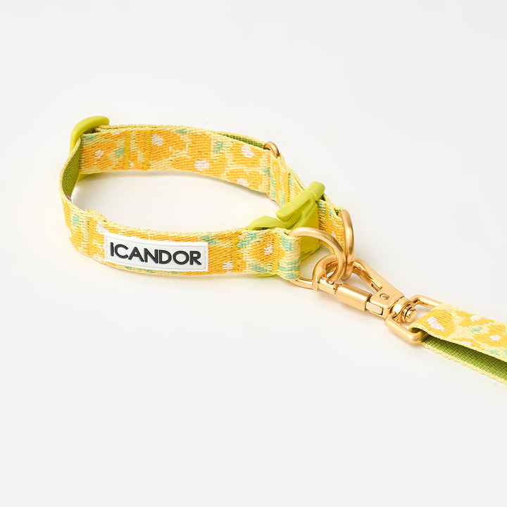 Gentle Leash Bolt, Long_Big Fish Yellow