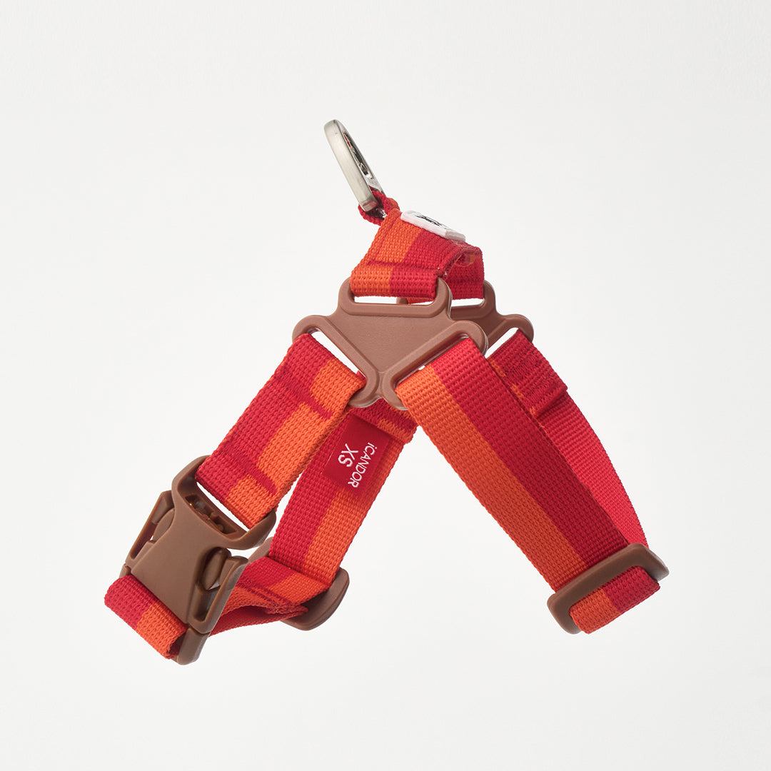 No-Pull Harness_Sunset