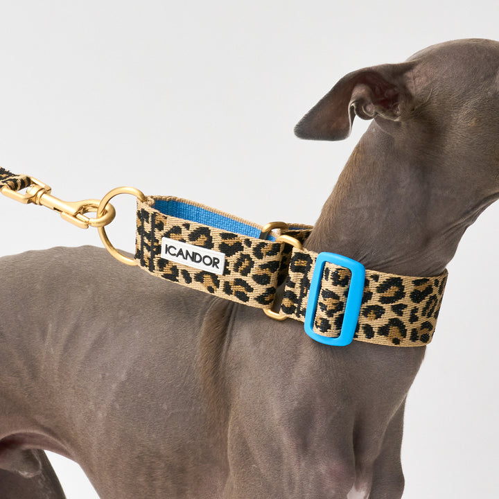 Smooth Martingale Collar 38mm_Leopard