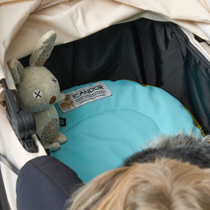 Urban Nest Cushion_Mint