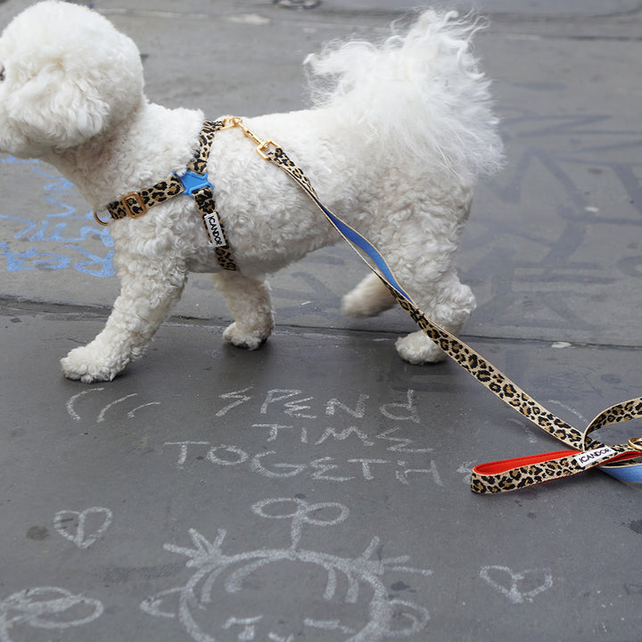 No-Pull Harness_Leopard