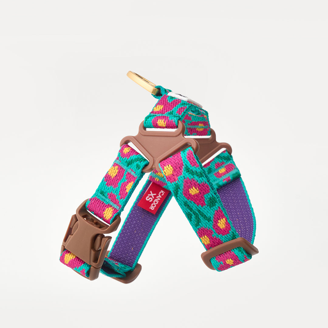 No-Pull Harness_Big Fish Mint