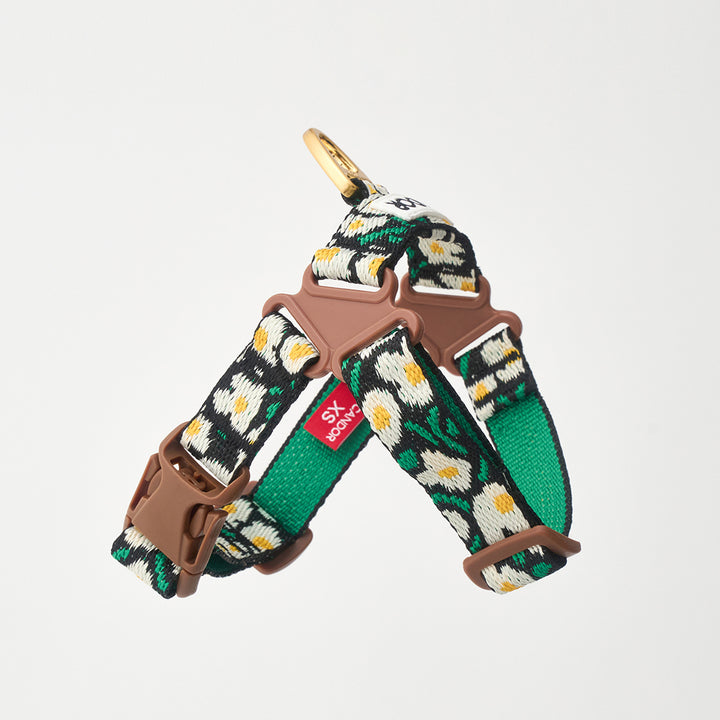 No-Pull Harness_Big Fish