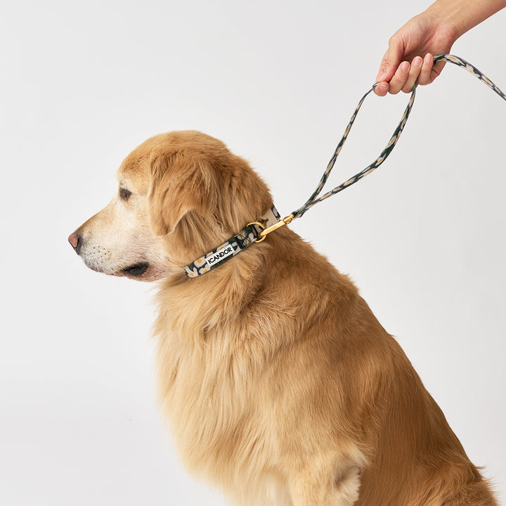Capri Waterproof Leash_Big Fish
