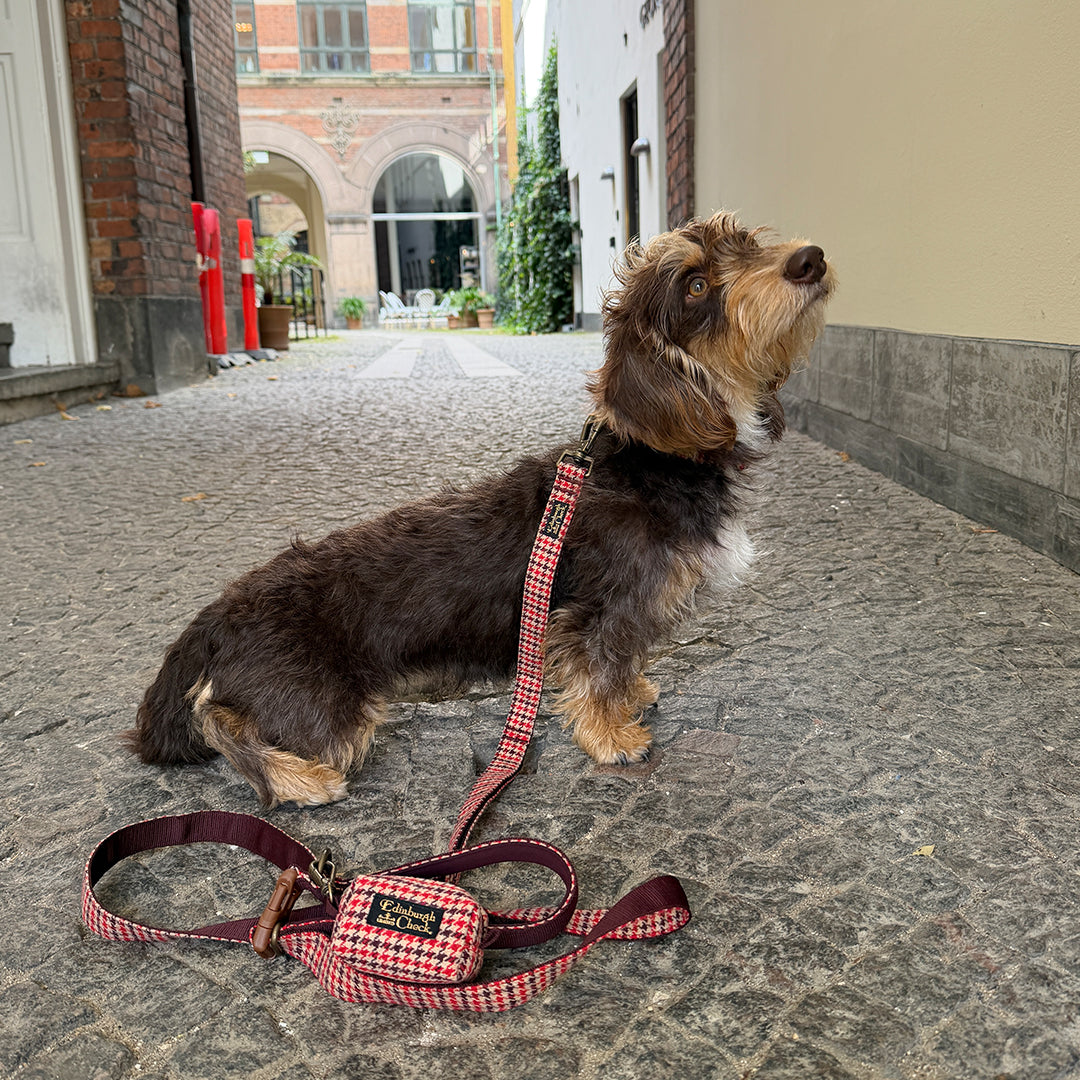 Gentle Leash Bolt_Edinburgh Check Red
