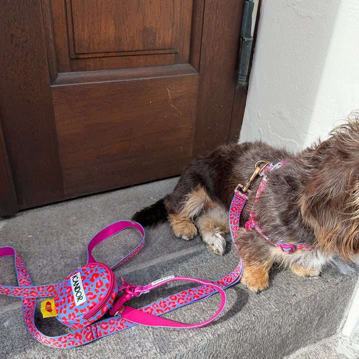 Gentle Leash Bolt_Flora