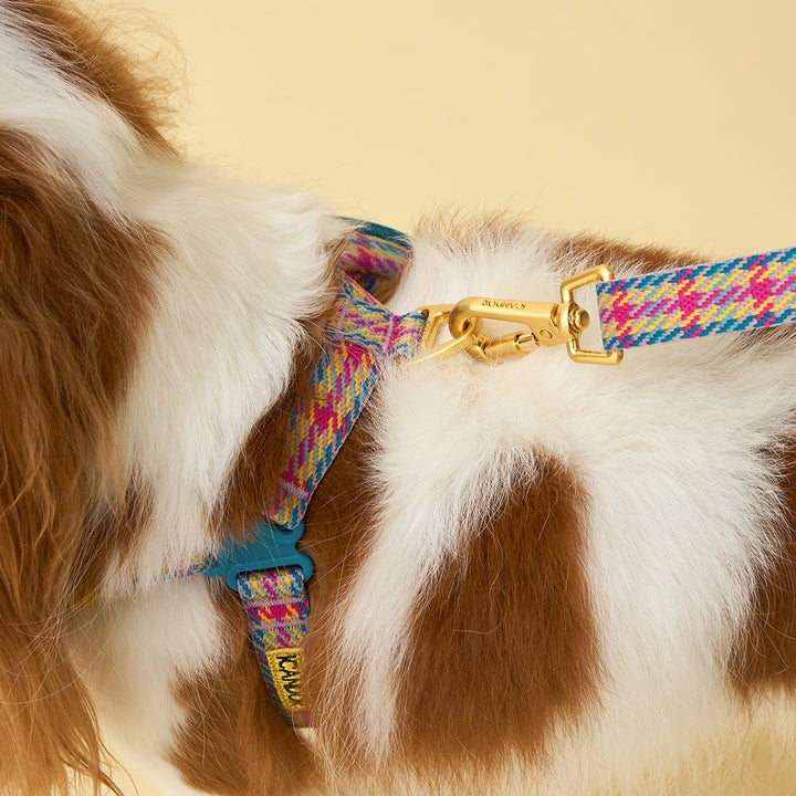 Gentle Leash Bolt, Long_Edinburgh Check