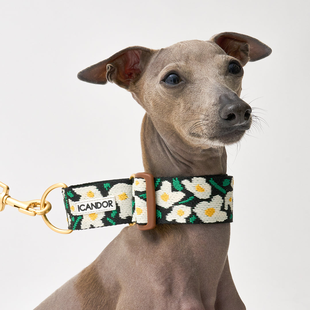 Smooth Martingale Collar 38mm_Big Fish