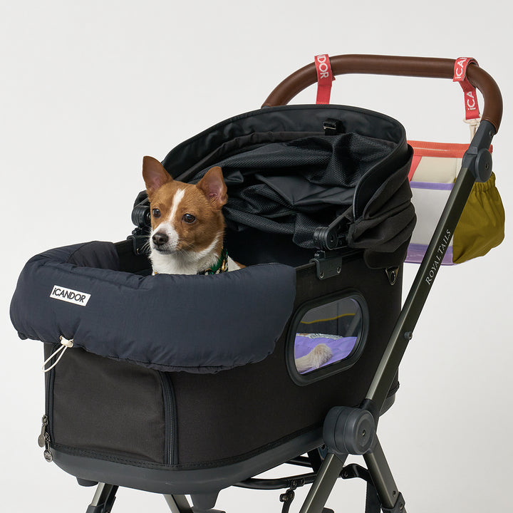 Urban Shield Cushion_Black