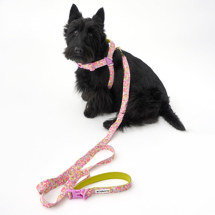 Gentle Leash Bolt_Flora