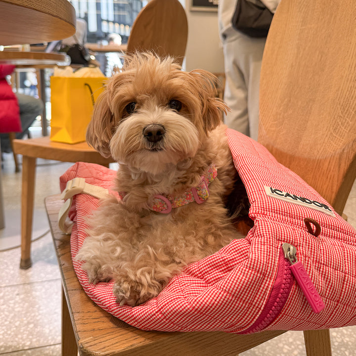 Dumpling Bag_Iconic Red