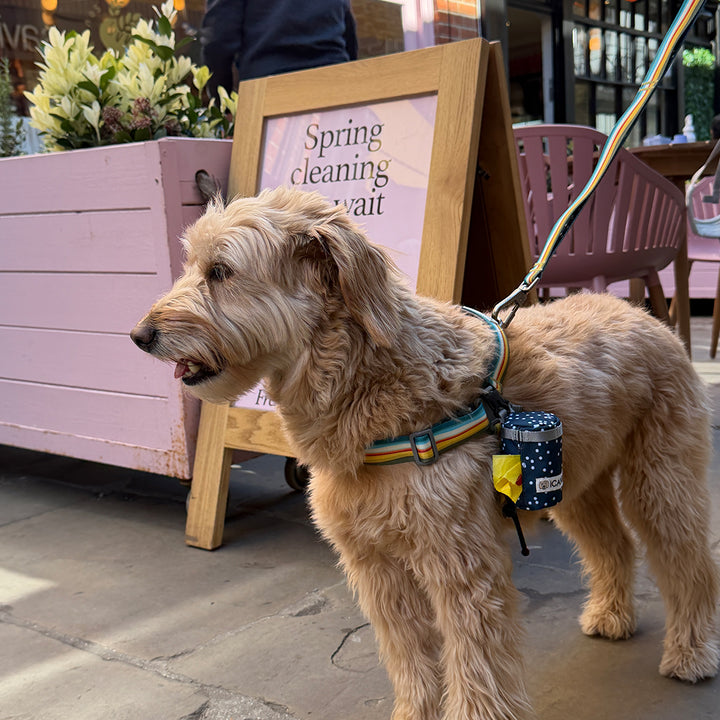 Gentle Leash Bolt, Long_Ripple
